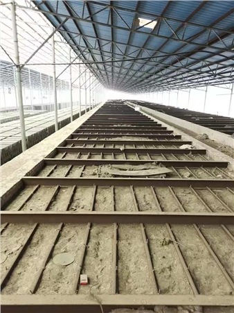 ���͟���|���͟���|���Ĵu�G�t����